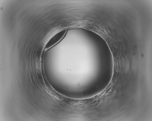 X0000060750100200511141209