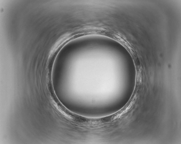 X0000060750101200511141209