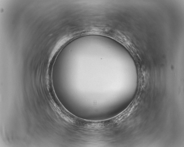 X0000060750102200511141209