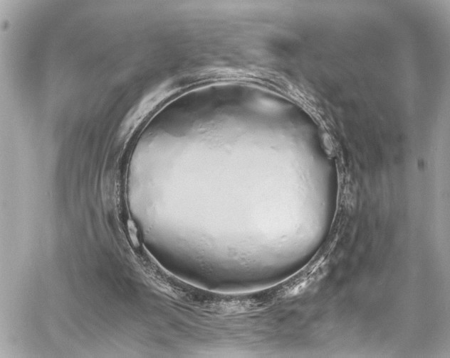 X0000060750103200511141209