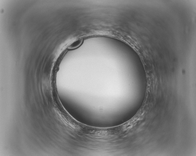 X0000060750104200511141209