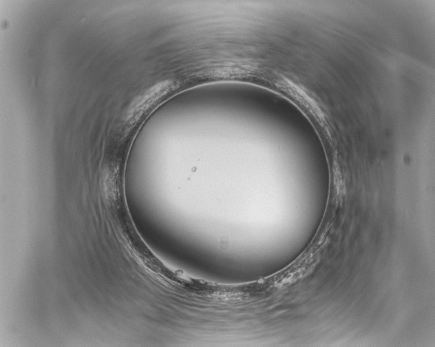 X0000060750105200511141209