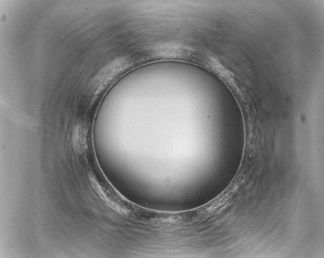 X0000060750106200511141209