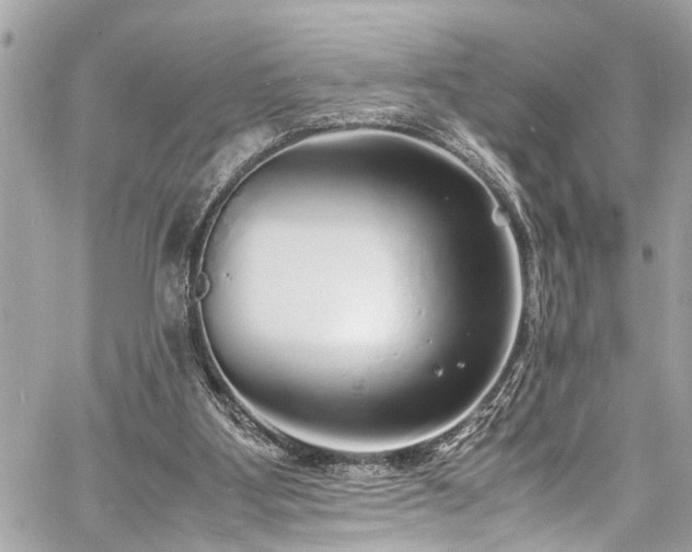 X0000060750107200511141209