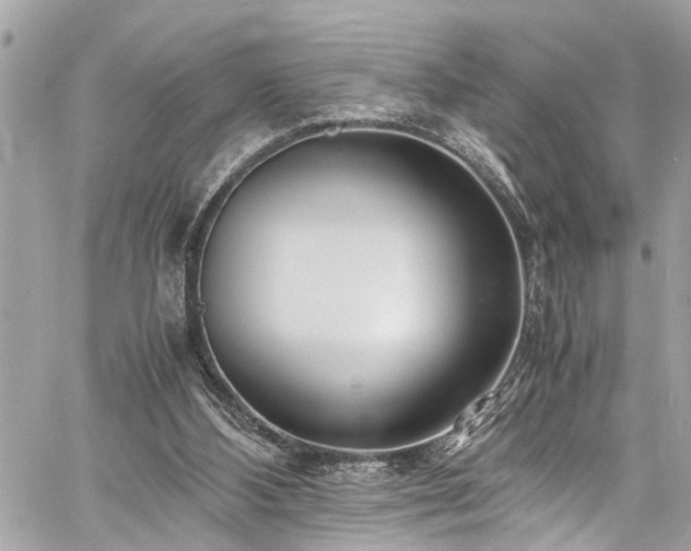 X0000060750108200511141209