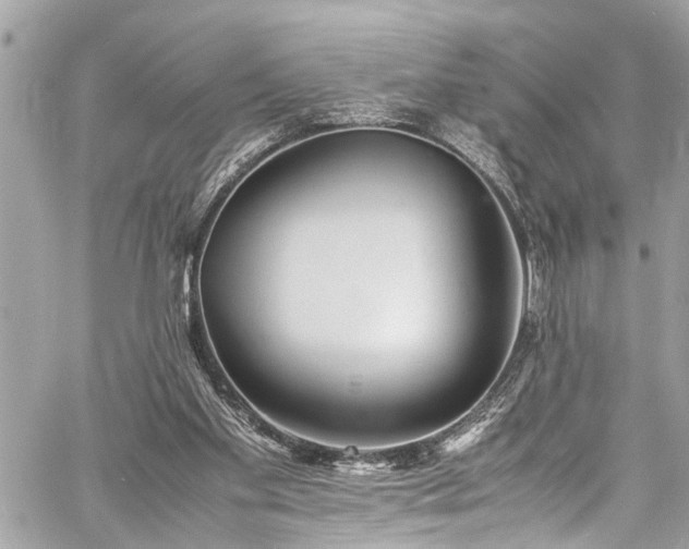 X0000060750109200511141209