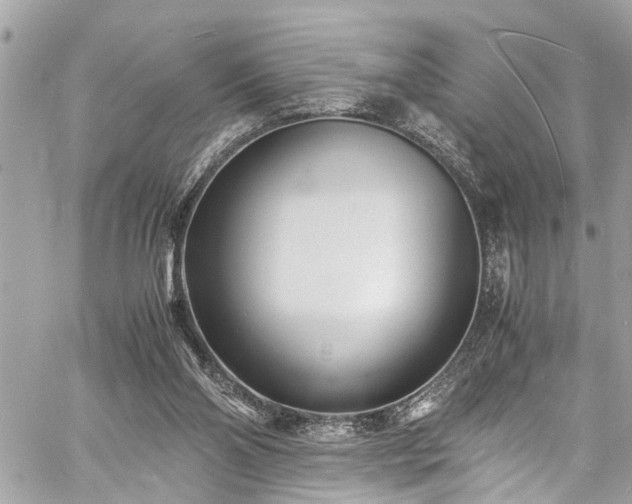 X0000060750110200511141209