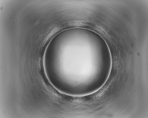 X0000060750111200511141209