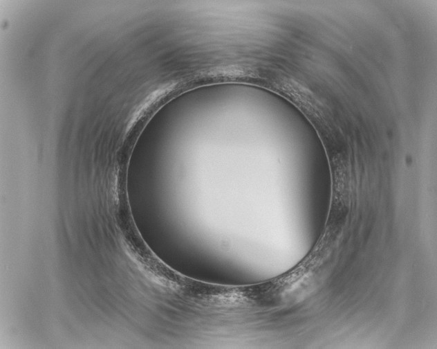 X0000060750112200511141209