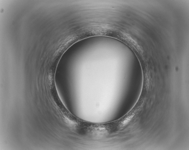 X0000060750113200511141209