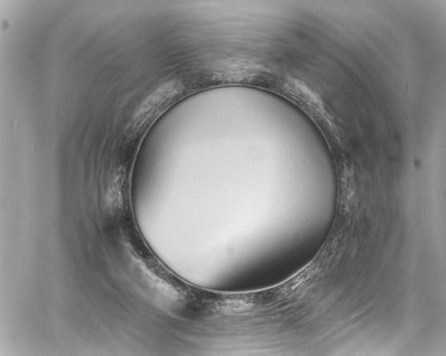 X0000060750114200511141209