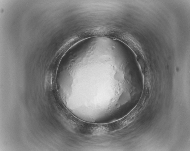 X0000060750115200511141209