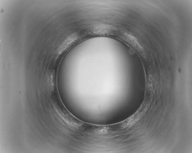 X0000060750116200511141209