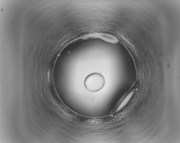 X0000060750117200511141209