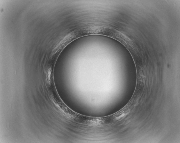 X0000060750118200511141209