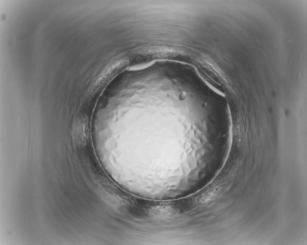 X0000060750119200511141209