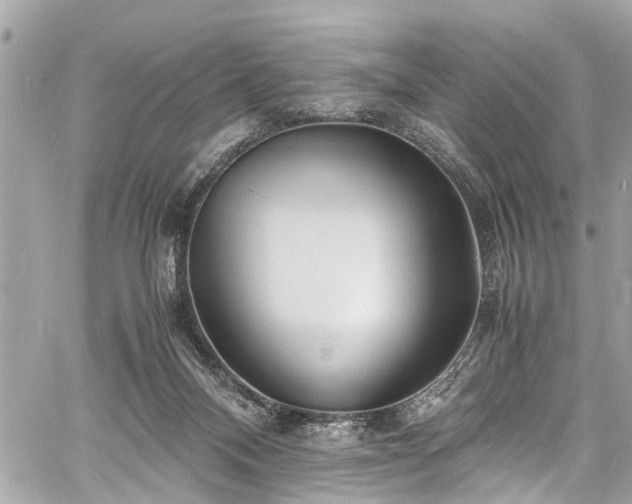 X0000060750120200511141209