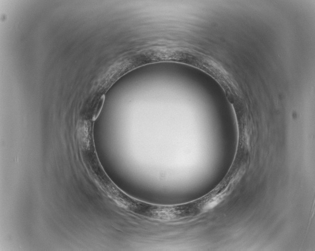 X0000060750121200511141209