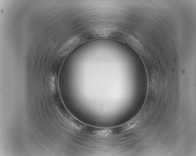 X0000060750122200511141209