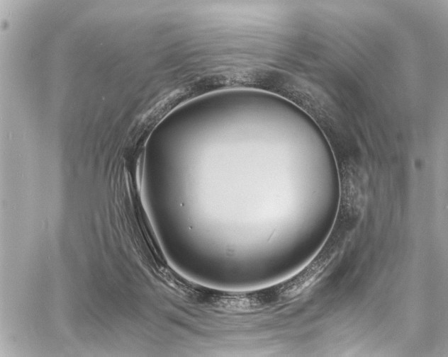 X0000060750123200511141209