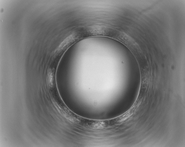 X0000060750124200511141209