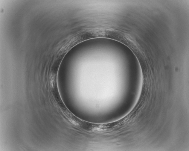 X0000060750125200511141209