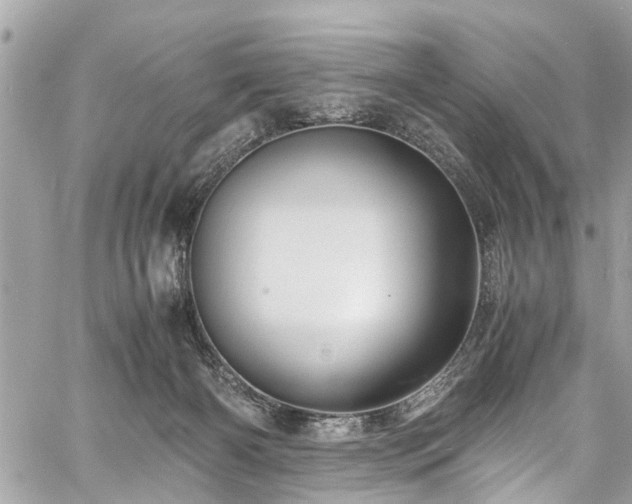 X0000060750126200511141209