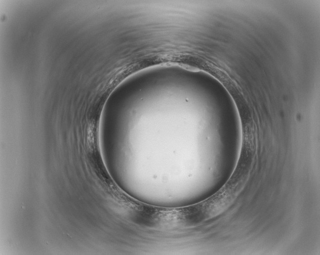 X0000060750127200511141209