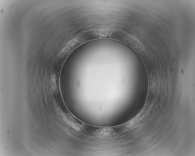 X0000060750128200511141209