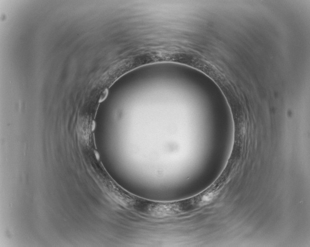 X0000060750129200511141209