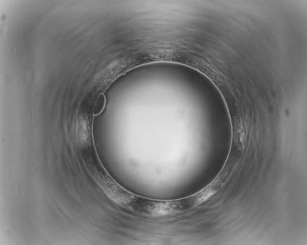 X0000060750130200511141209