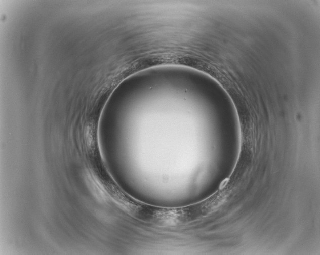 X0000060750131200511141209