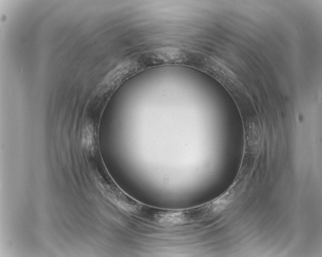 X0000060750132200511141209