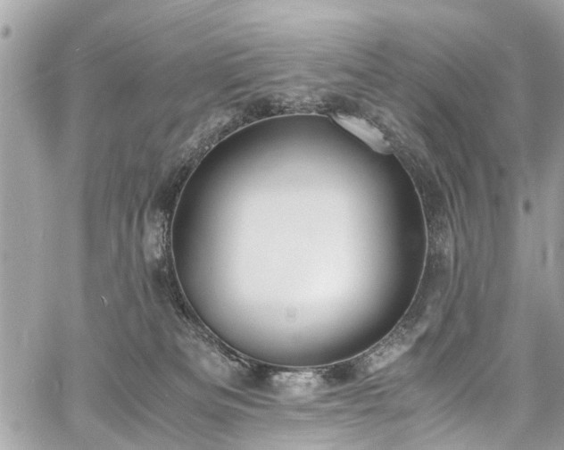 X0000060750133200511141209