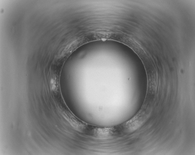 X0000060750134200511141209