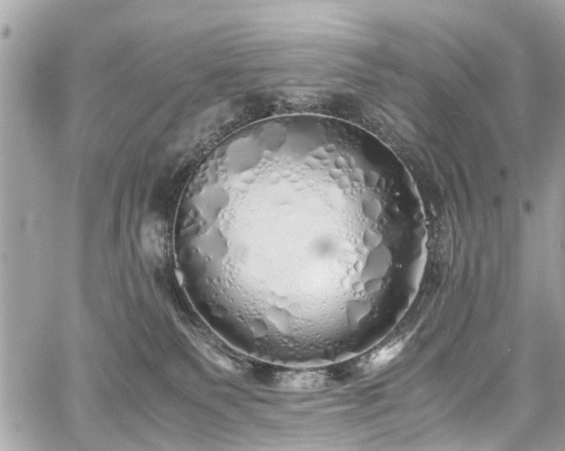 X0000060750135200511141209