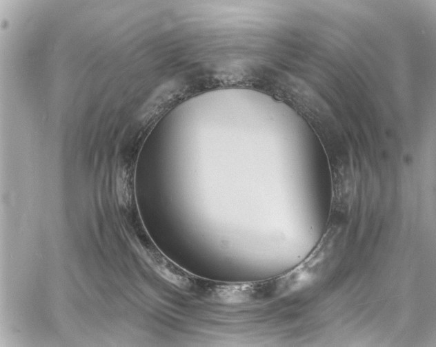 X0000060750136200511141209