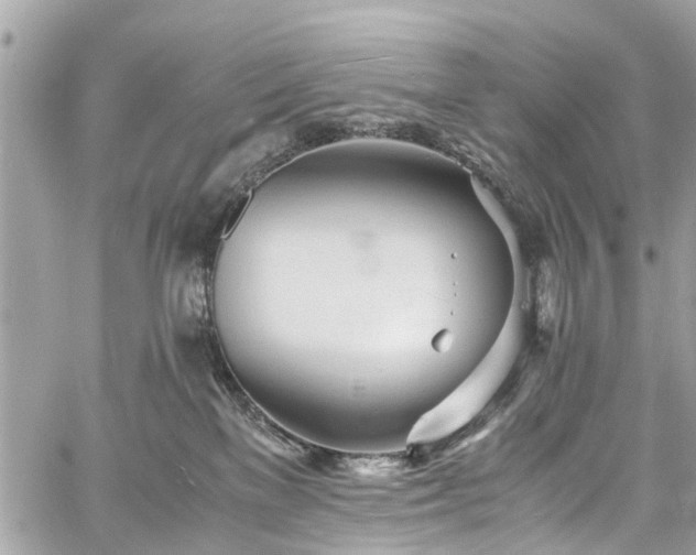 X0000060750137200511141209