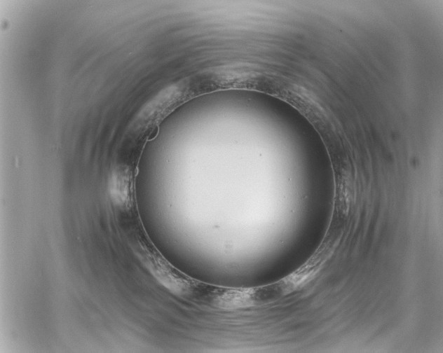 X0000060750138200511141209