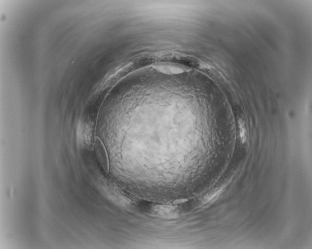 X0000060750139200511141209