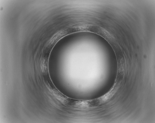 X0000060750140200511141209