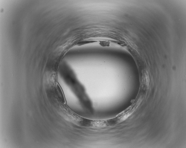 X0000060750141200511141208