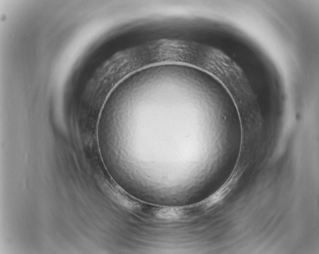 X0000060750142200511141208