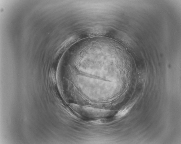 X0000060750143200511141208