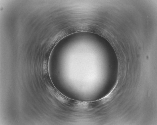 X0000060750144200511141208