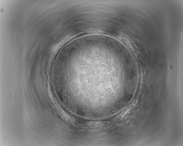 X0000060750145200511141208