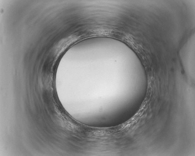 X0000060750146200511141208