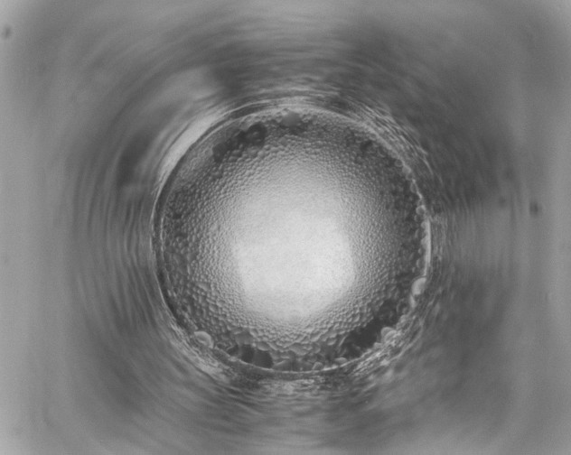 X0000060750147200511141208