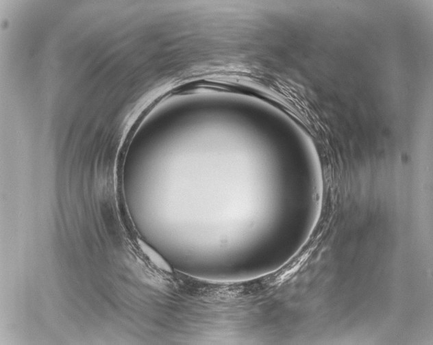 X0000060750148200511141208