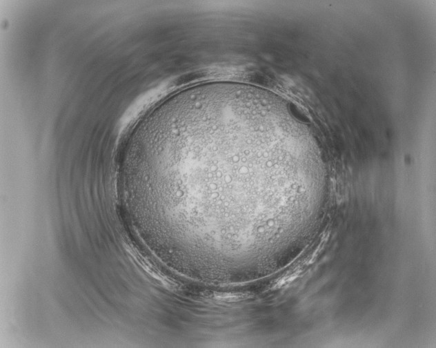 X0000060750149200511141208